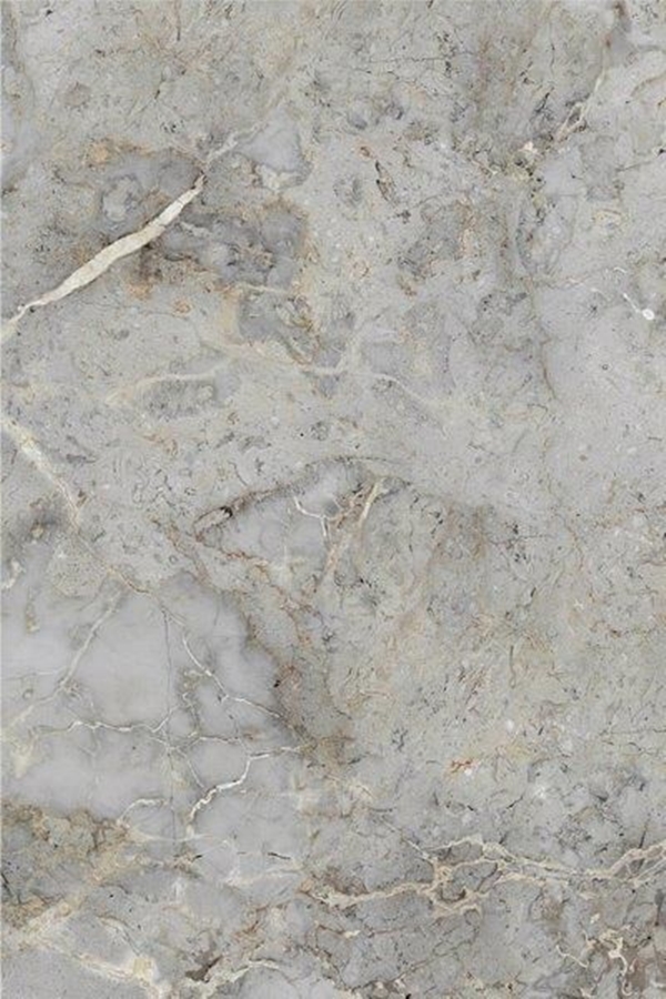 FROST HONED MARBLE LOOK PORCELAIN TILE