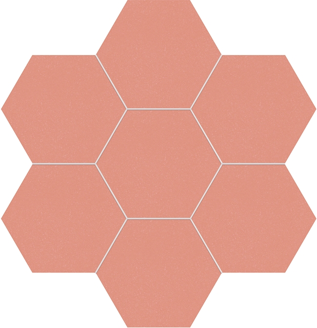 CORAL MATT HEX RUSTICO