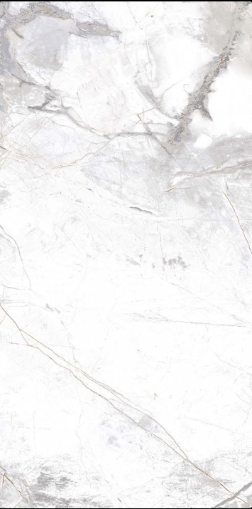 ANTARTIC MATT MARBLE LOOK PORCELAIN TILE