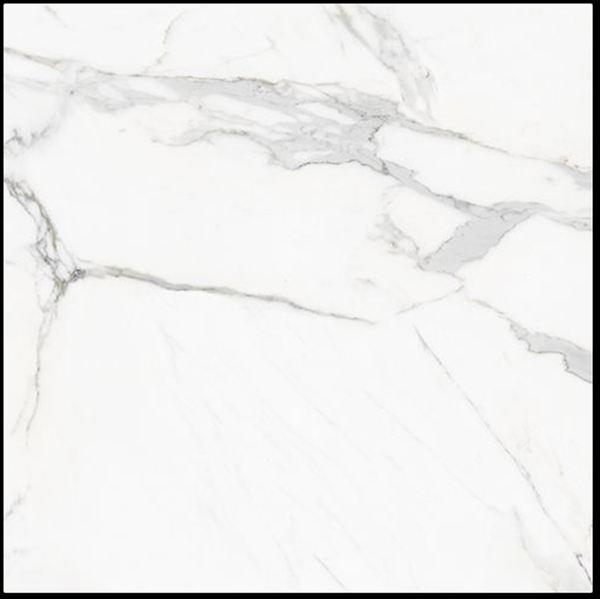 CALACATTA  HONED MARBLE LOOK PORCELIAN TILE