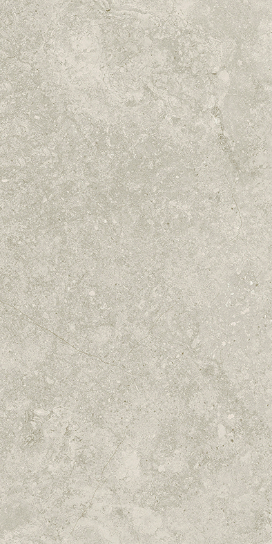 GREIGE IN OUT NATURAL STONE LOOK PORCELAIN TILE