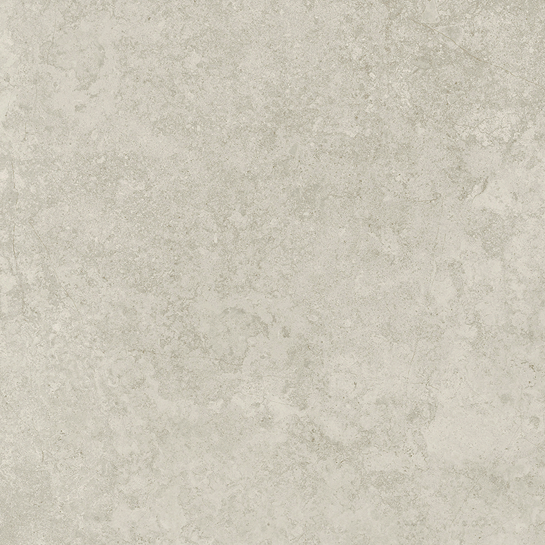 GREIGE IN OUT NATURAL STONE LOOK PORCELAIN TILE