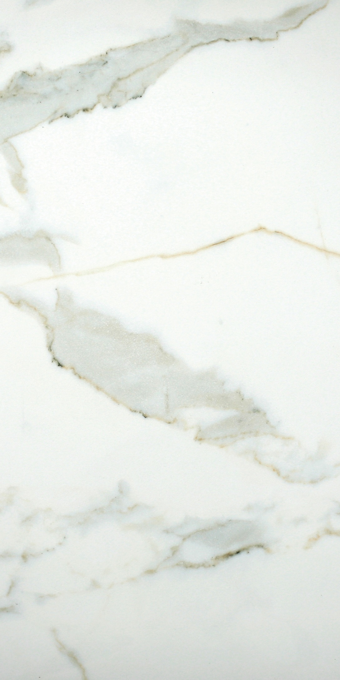 CALACATTA-GOLD HONED MARBLE LOOK ELEGANT PORCELAIN TILE