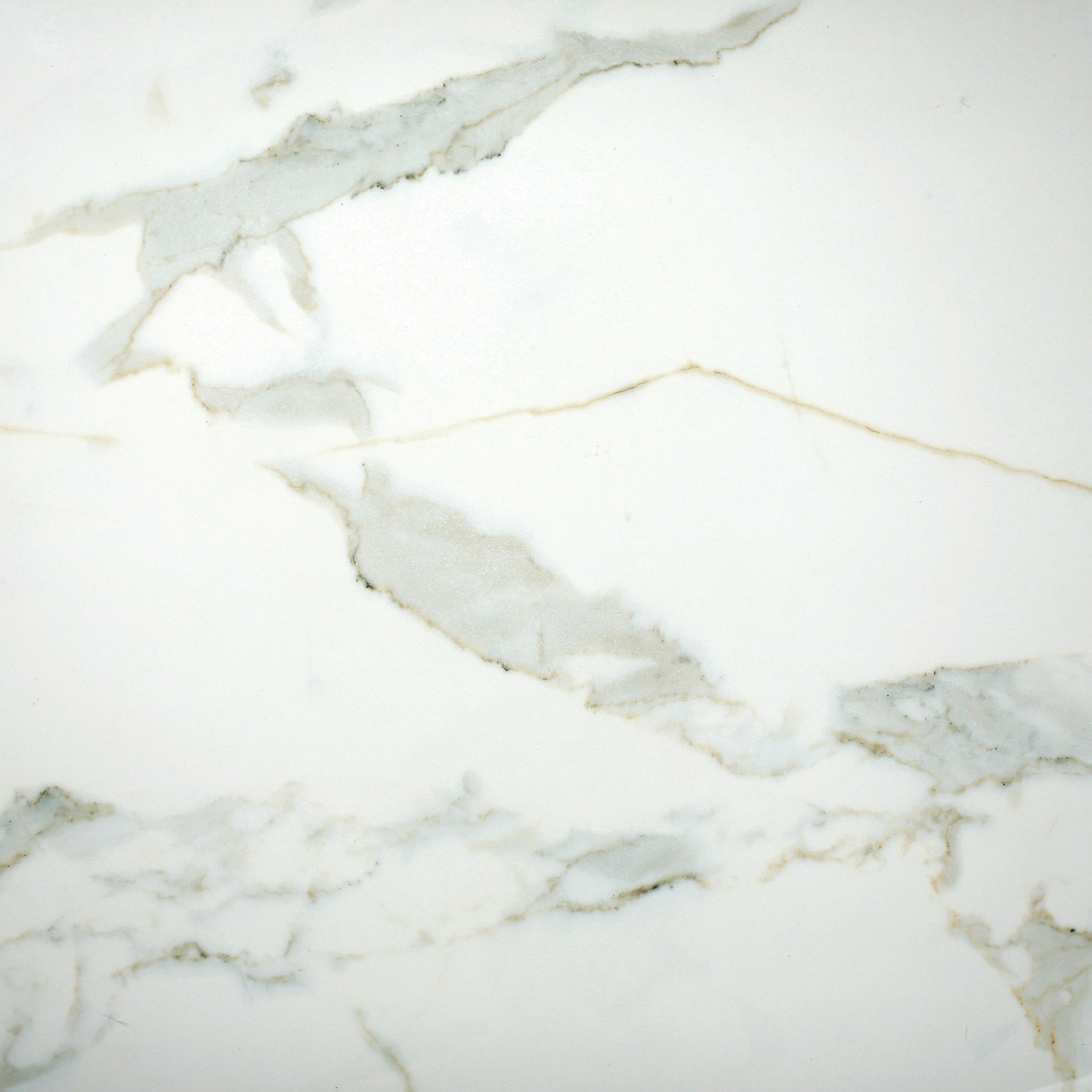 CALACATTA-GOLD HONED MARBLE LOOK ELEGANT PORCELAIN TILE