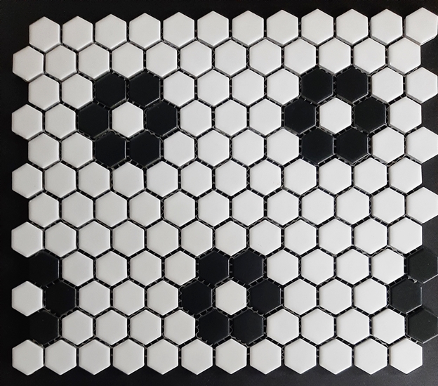 WHITE WITH BLACK ROSETTE MATT HEXAGONAL MOSAIC TILE