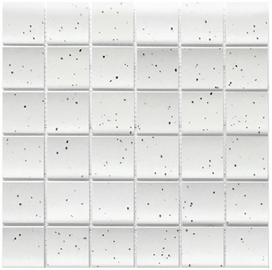 WHITT SPECKLE MATT SAGGAR MOSAIC