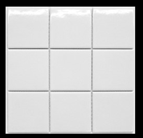 WHITE GLOSS MOSAIC