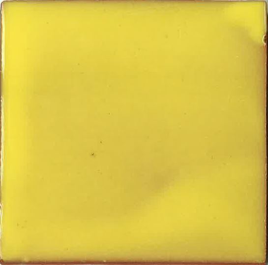 CANARY YELLOW GLOSS TAVAVERA